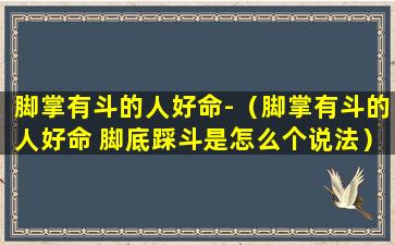 脚掌有斗的人好命-（脚掌有斗的人好命 脚底踩斗是怎么个说法）